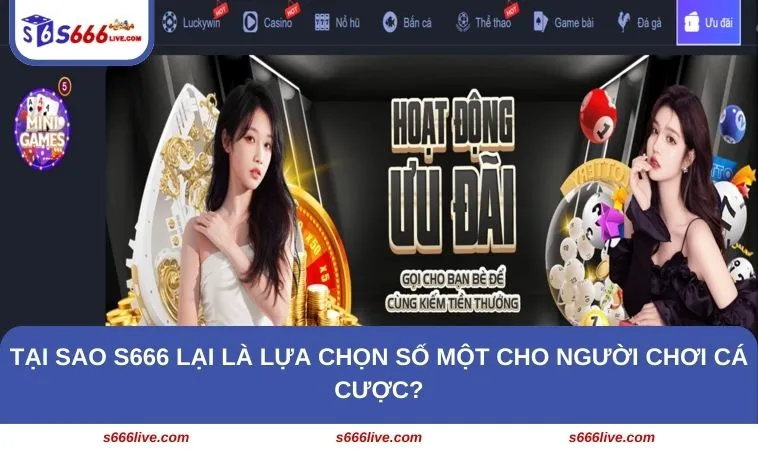 Giới Thiệu S666 232 Tại sao S666 lại là lựa chọn số một cho người chơi cá cược?
