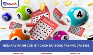 Hôm Nay Đánh Con Gì