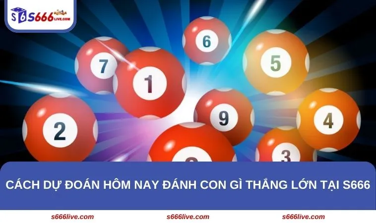 Cách dự đoán hôm nay đánh con gì thắng lớn tại S666