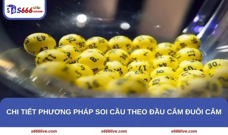 Chi tiết phương pháp soi cầu theo đầu câm đuôi câm