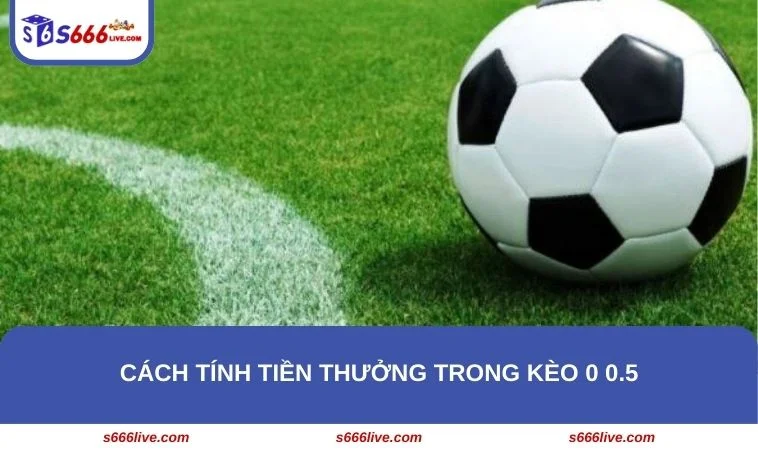 Kèo 0 0.5 - Khám Phá Chiến Lược Cá Cược Hiệu Quả Tại S666 301 Tân binh cần nắm được cách tình tiền thưởng khi tham gia chơi kèo 0 0.5