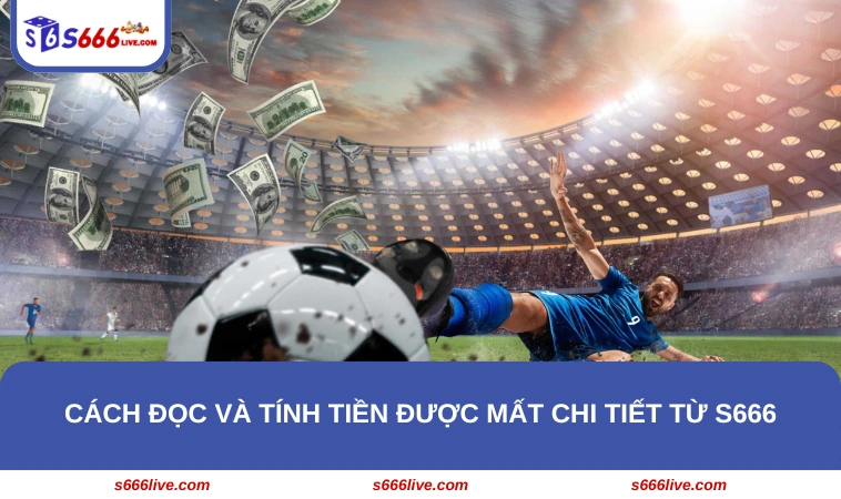 Kèo 3 Cửa Là Gì? Gợi Ý Cách Đọc Kèo 3 Cửa Chuẩn Nhất Ở S666 317 Cách đọc và tính tiền được mất chi tiết từ S666