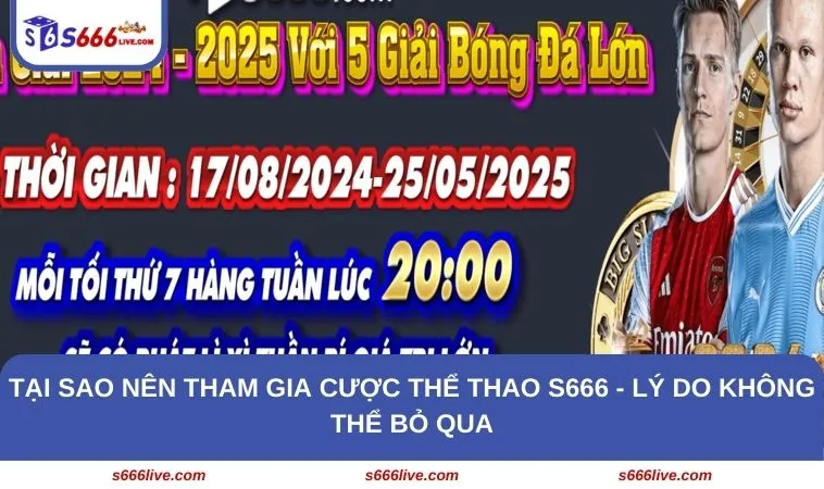 Thể Thao S666 254 Tại sao nên tham gia cược thể thao S666 - Lý do không thể bỏ qua